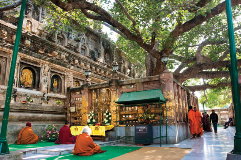 Read more about the article Visiting the Holy Site of BODHGAYA